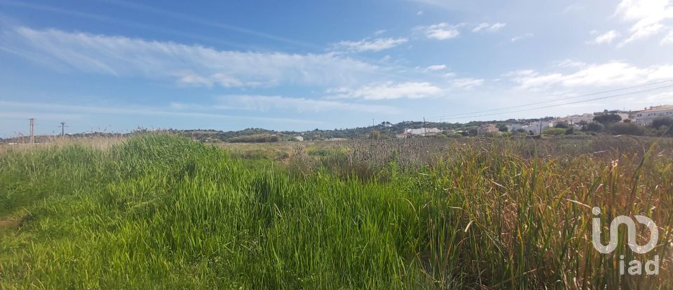 Terreno em São Gonçalo De Lagos de 409 450 m²