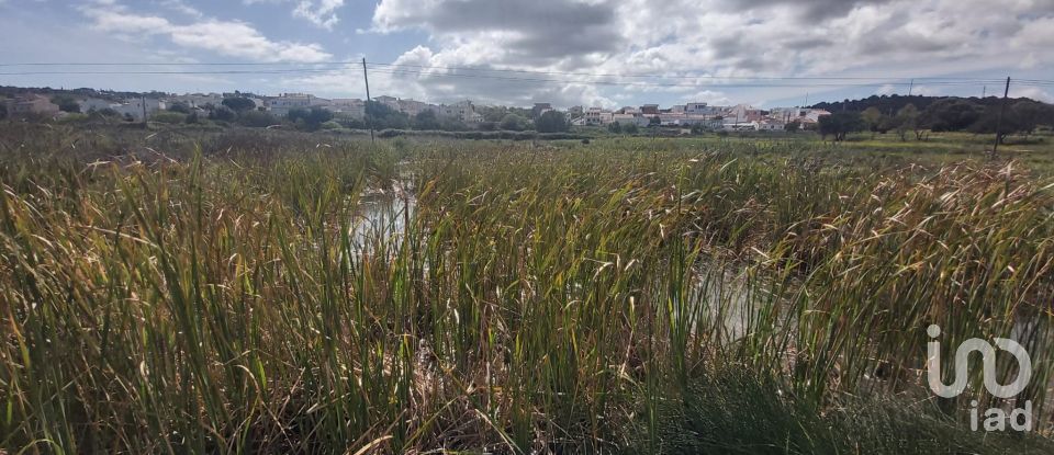 Terreno em São Gonçalo De Lagos de 409 450 m²