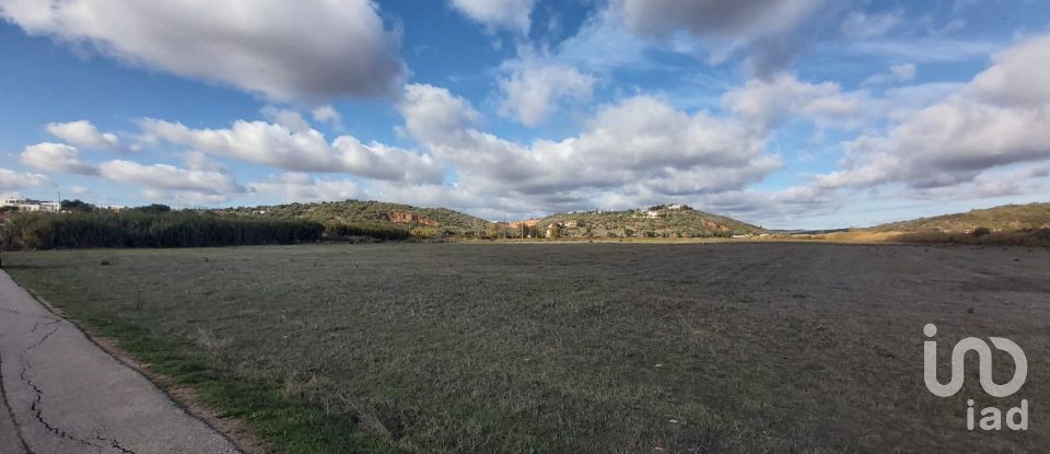 Terreno em São Gonçalo De Lagos de 409 450 m²