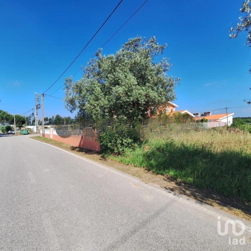 Terreno em São lourenço do bairro de 1 652 m²