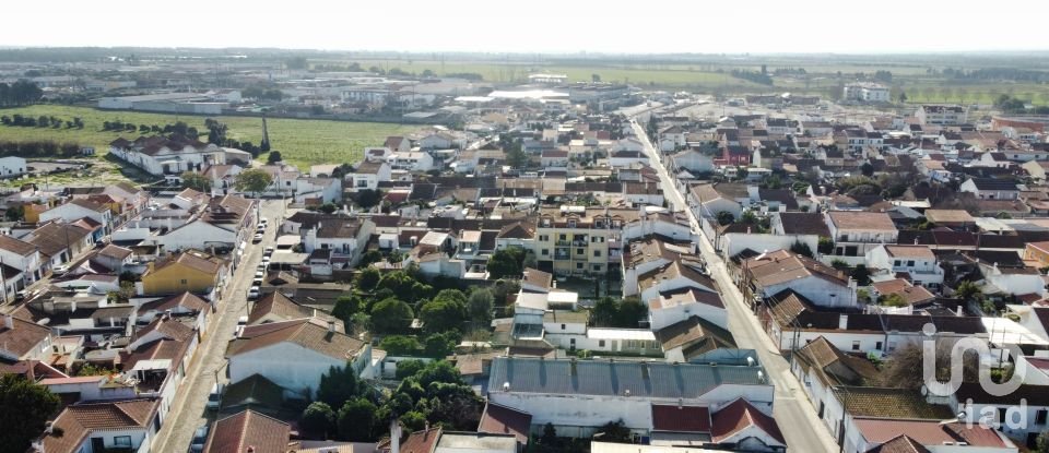 Loja / Estabelecimento Comercial em Almeirim de 462 m²