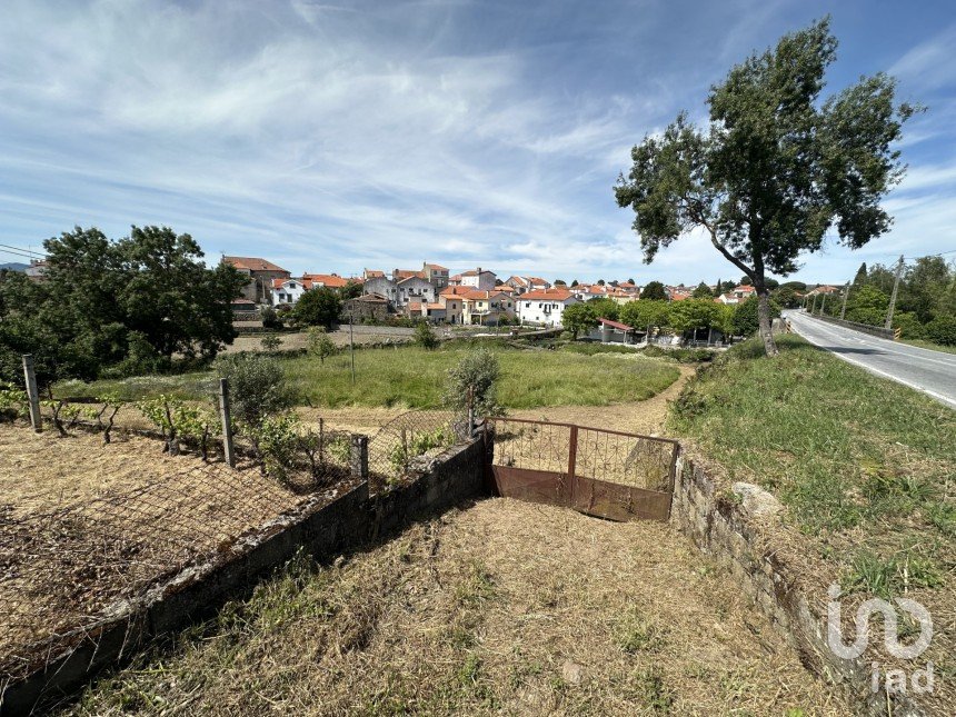 Terrain à Vila Cortês da Serra de 2 716 m²