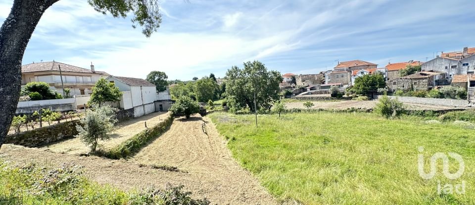 Terrain à Vila Cortês da Serra de 2 716 m²