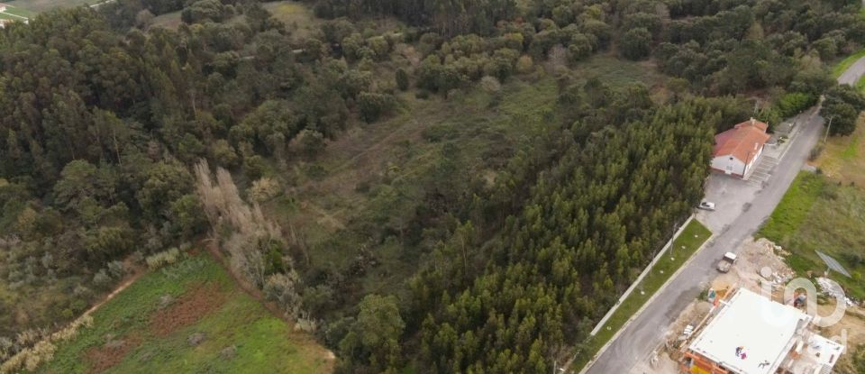 Land in Santa Catarina of 57,000 m²