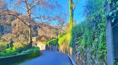 Maison de campagne T4 à Sintra (Santa Maria e São Miguel, São Martinho e São Pedro de Penaferrim) de 1 254 m²