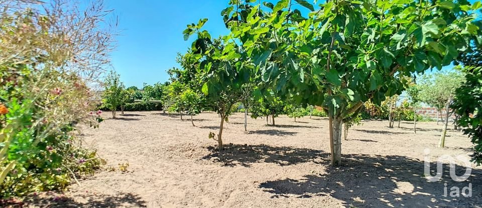 Casa tradicional T6 em Salreu de 134 m²