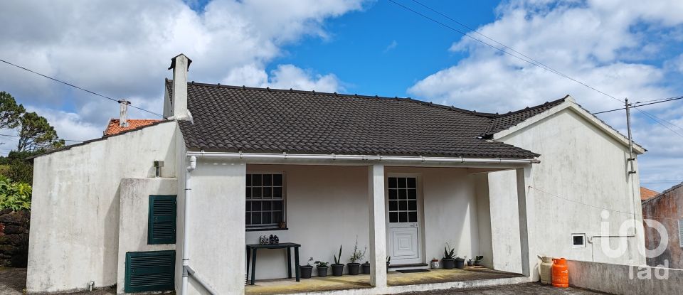 Gîte T3 à Ribeiras de 181 m²