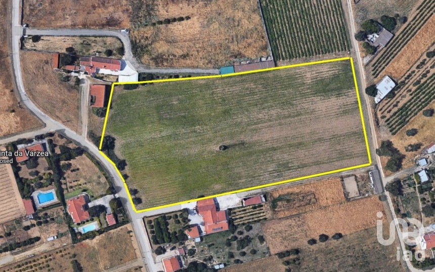 Terreno Agrícola em Quinta do Anjo de 17 720 m²