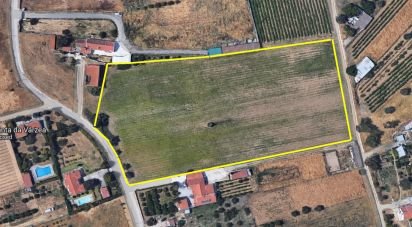 Terrain agricole à Quinta do Anjo de 17 720 m²