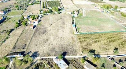 Terrain agricole à Quinta do Anjo de 17 720 m²