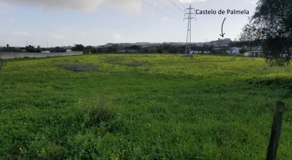 Agricultural land in Quinta do Anjo of 17,720 m²
