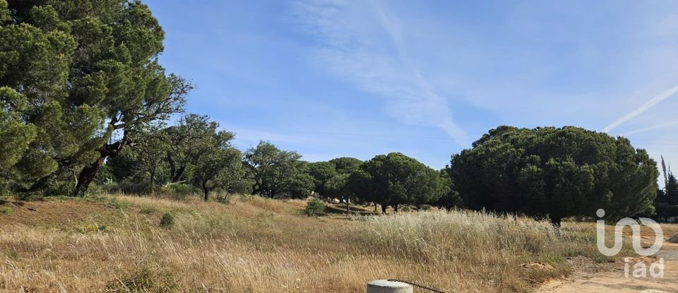 Land in Quarteira of 19,350 m²