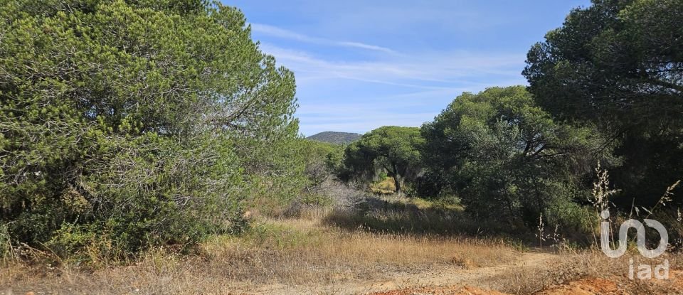 Land in Quarteira of 19,350 m²