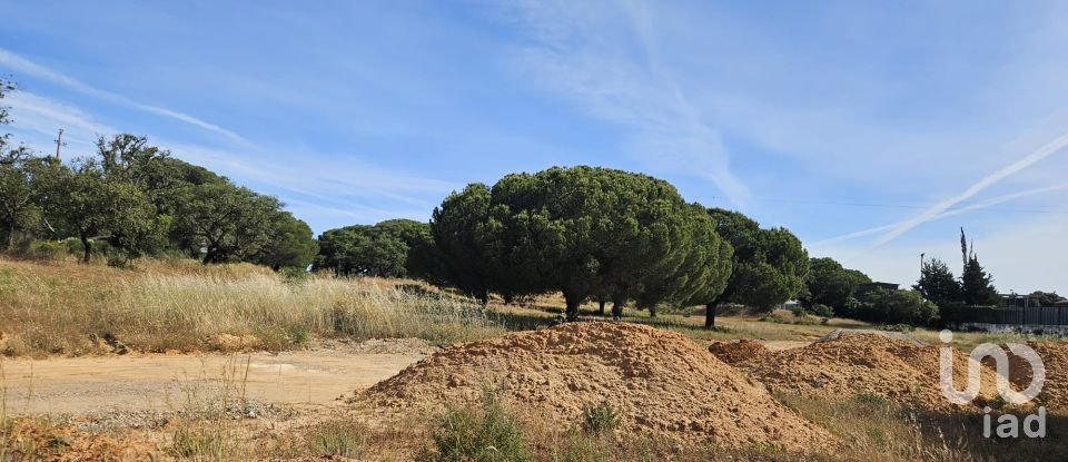 Land in Quarteira of 19,350 m²