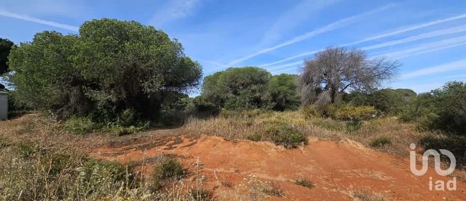 Land in Quarteira of 19,350 m²