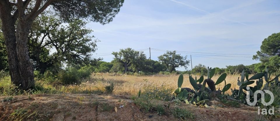 Land in Quarteira of 19,350 m²