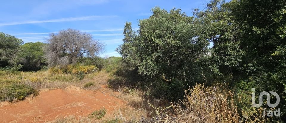 Land in Quarteira of 19,350 m²