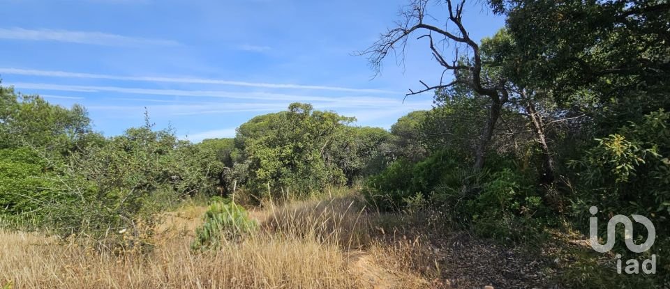 Land in Quarteira of 19,350 m²