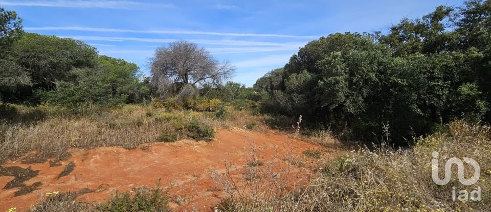 Land in Quarteira of 19,350 m²