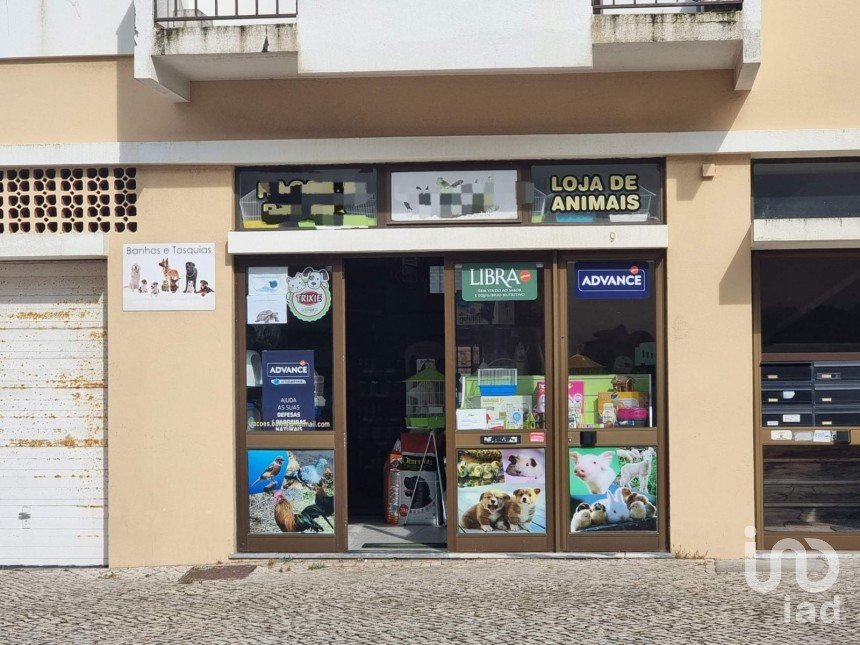 Shop / premises commercial in Peniche of 97 m²