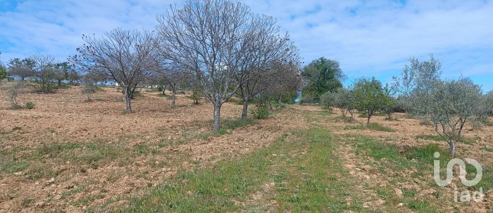 Terreno em Mogadouro, Valverde, Vale de Porco e Vilar de Rei de 21 625 m²
