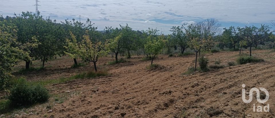 Land in Mogadouro, Valverde, Vale de Porco e Vilar de Rei of 21,625 m²