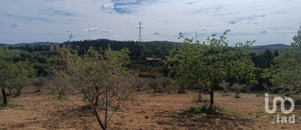 Terreno em Mogadouro, Valverde, Vale de Porco e Vilar de Rei de 21 625 m²
