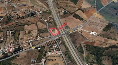 Land in Cartaxo e Vale da Pinta of 6,040 m²