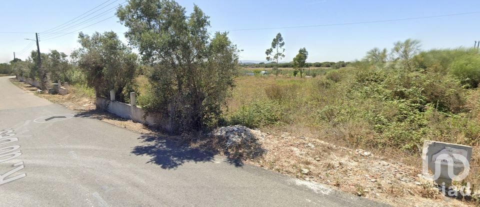 Terreno em Cartaxo e Vale da Pinta de 6 040 m²