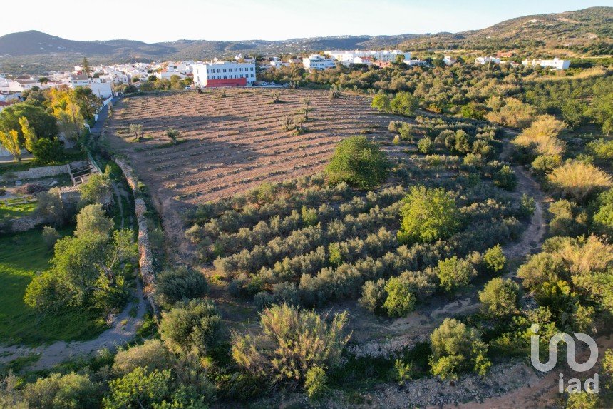 Terreno para construção em Conceição e Estoi de 22 000 m²