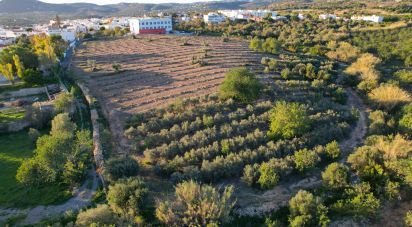 Building land in Conceição e Estoi of 22,000 m²