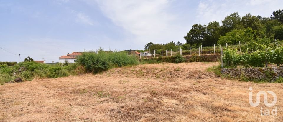 Building land in Vila Nova of 460 m²