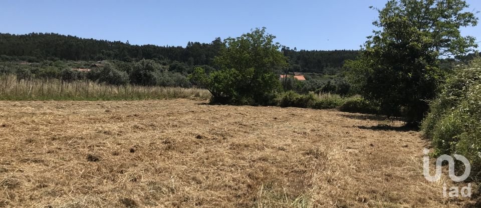 Agricultural land in Areias e Pias of 6,600 m²