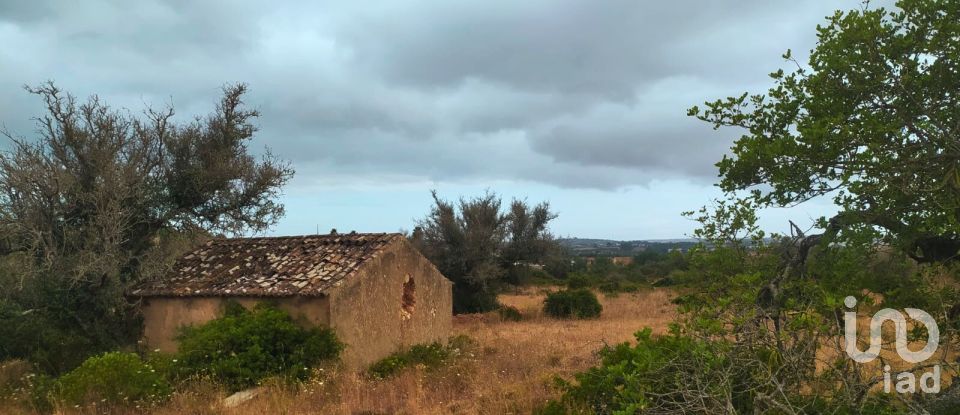 Land in Mexilhoeira Grande of 20,560 m²