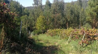 Land in Troviscal of 1,800 m²