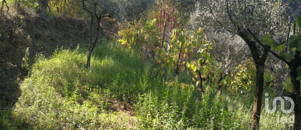 Land in Troviscal of 1,800 m²