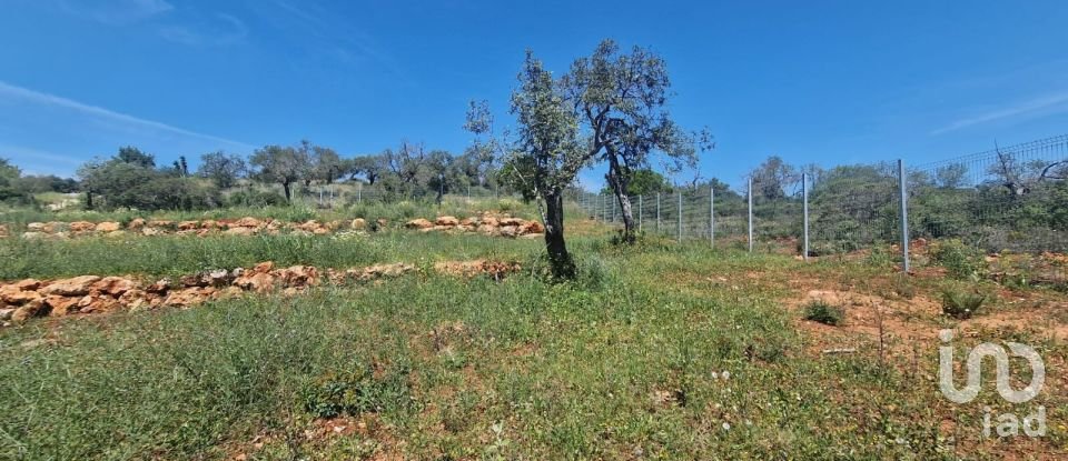 Terreno em Boliqueime de 7 000 m²