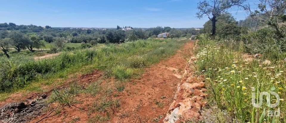 Terreno em Boliqueime de 7 000 m²