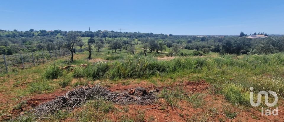 Terreno em Boliqueime de 7 000 m²