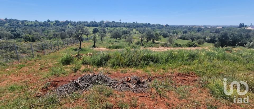 Terreno em Boliqueime de 7 000 m²