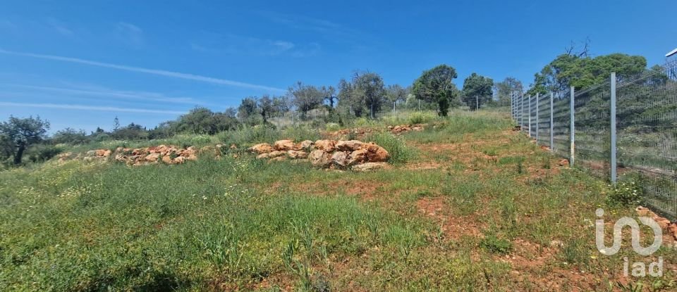 Terreno em Boliqueime de 7 000 m²