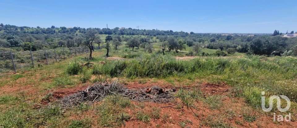 Terreno em Boliqueime de 7 000 m²