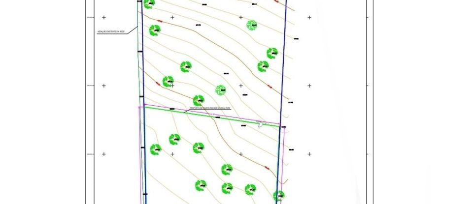 Terreno em Boliqueime de 7 000 m²