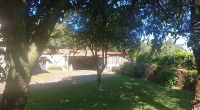 Country house T3 in Facha of 257 m²