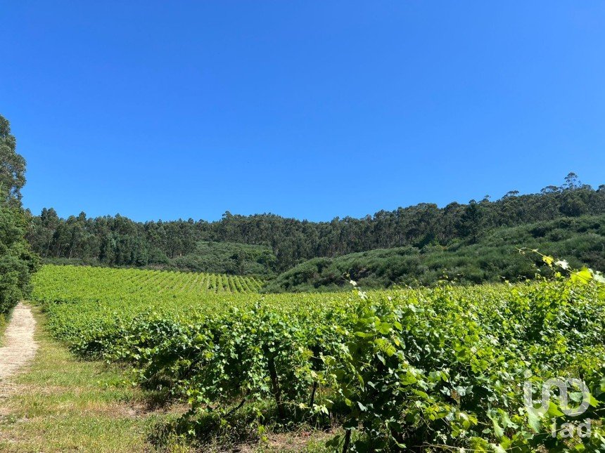 Terreno Agrícola em Sousela de 62 400 m²