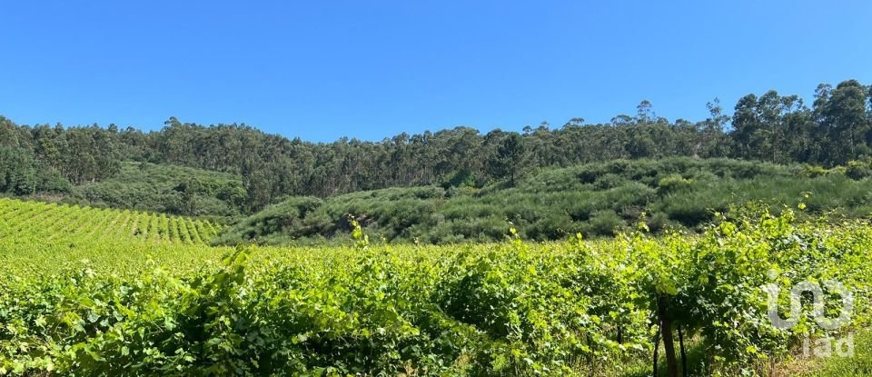 Terreno Agrícola em Sousela de 62 400 m²