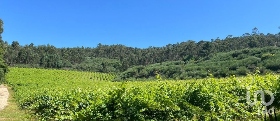 Terreno Agrícola em Sousela de 62 400 m²