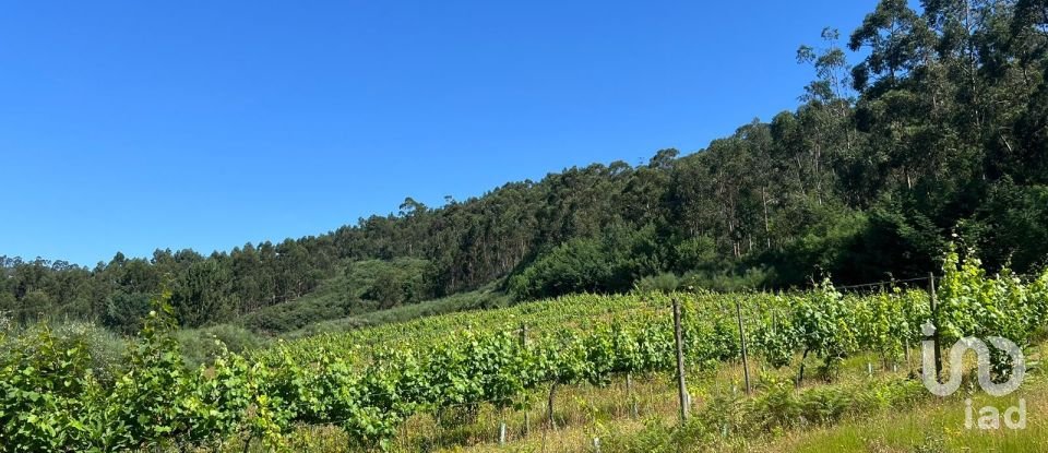 Terreno Agrícola em Sousela de 62 400 m²