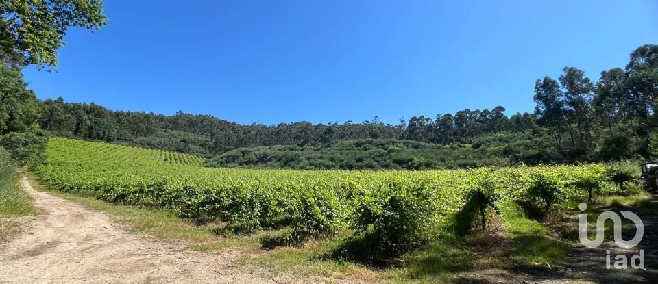 Terreno Agrícola em Sousela de 62 400 m²