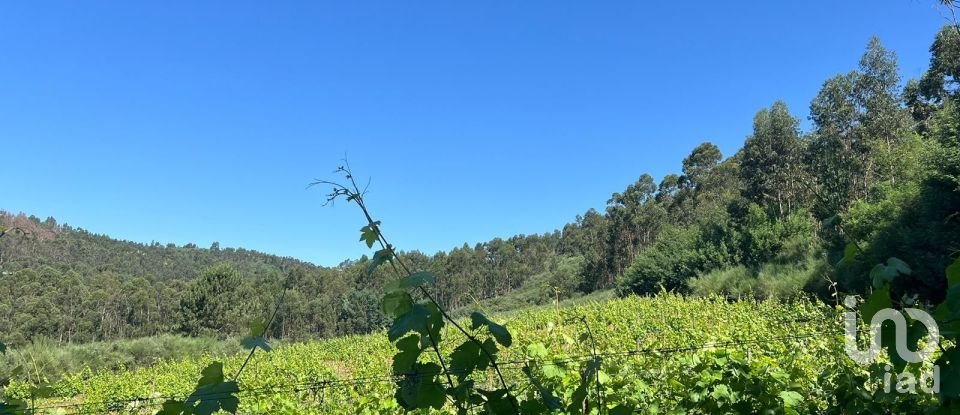 Terreno Agrícola em Sousela de 62 400 m²